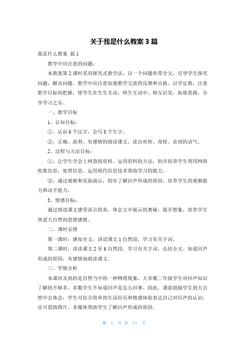 关于我是什么教案3篇