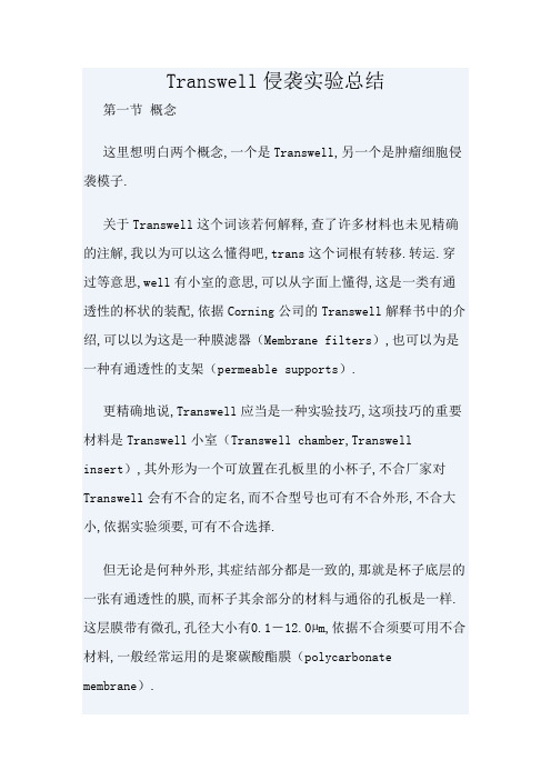 Transwell实验 超详细