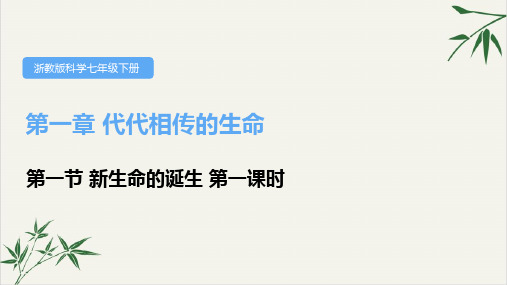 七年级下科学《新生命的诞生》PPT精美课件浙教版