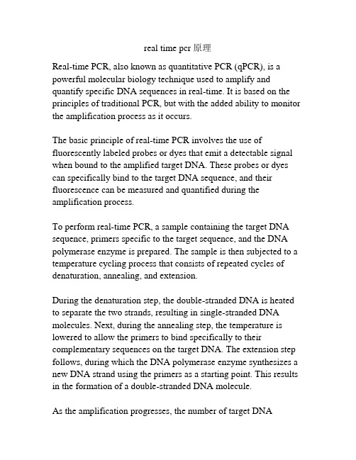 real time pcr原理
