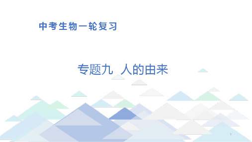 初中生物中考总复习课件：专题9 人的由来