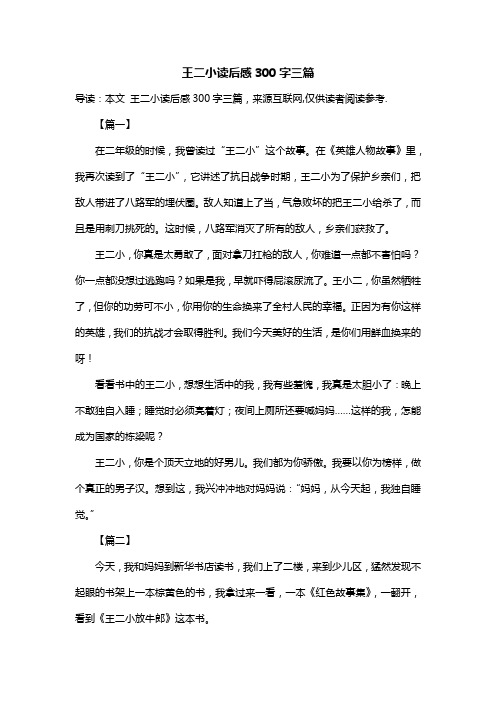 王二小读后感300字三篇