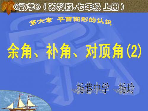 6.3余角补角对顶角(2)