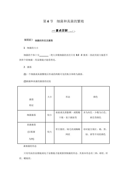 第1章 第6节 细菌和真菌的繁殖-浙教版七年级科学下册知识点总结练习