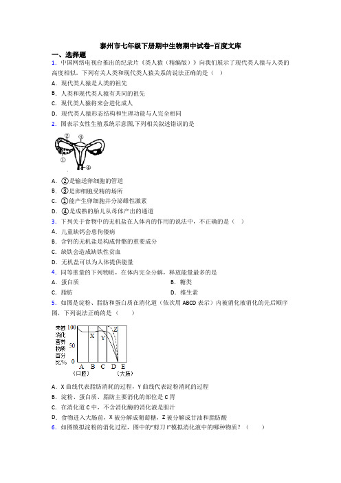泰州市七年级下册期中生物期中试卷-百度文库