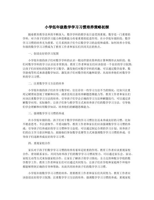 小学低年级数学学习习惯培养策略初探