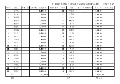 工资表样本