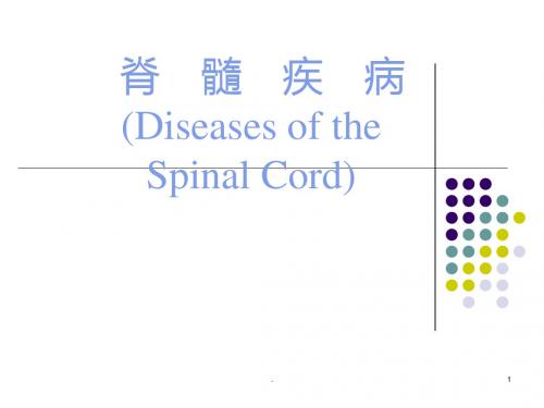 脊髓疾病护理查房PPT课件