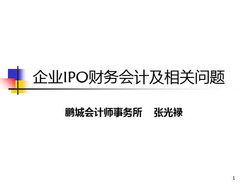 企业上市财务会计问题鹏城张光禄PPT课件