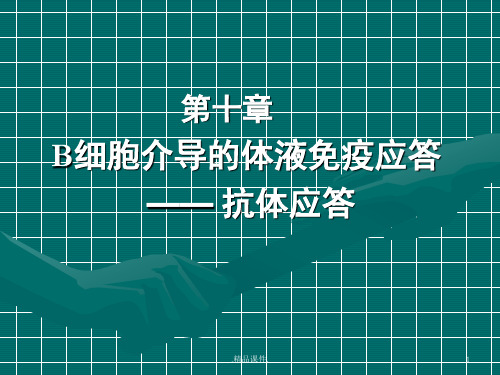 B细胞介导的体液免疫应答经典.ppt