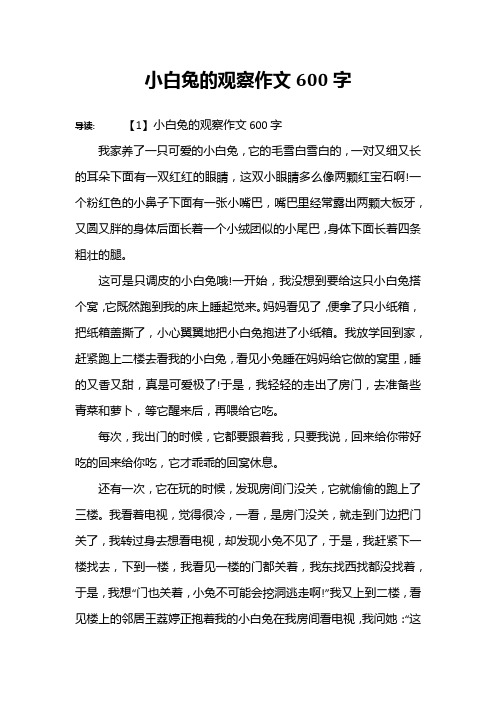 小白兔的观察作文600字