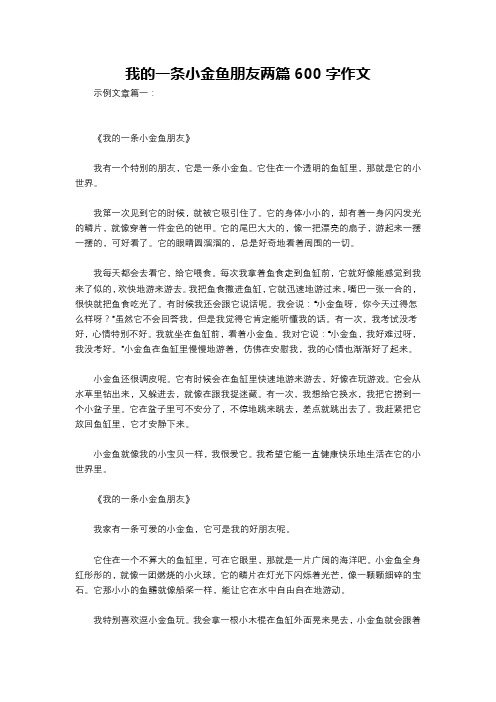 我的一条小金鱼朋友两篇600字作文