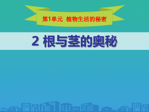 《根与径的奥秘》植物生活的秘密PPT课件