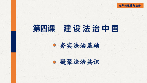 部编九年级道德与法治九年级上册第四课