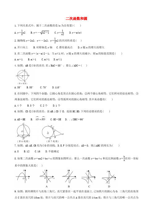 【中考数学考点突破】《二次函数和圆》(解析版)