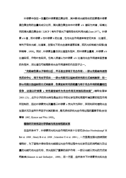 荧光总结