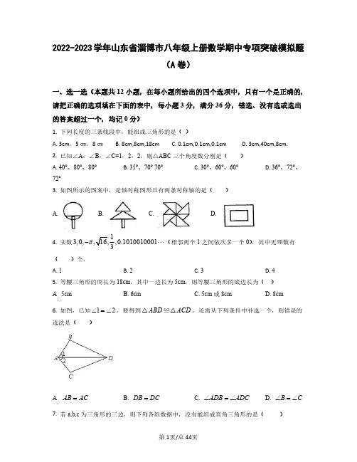 2022——2023学年山东省淄博市八年级上册数学期中专项突破模拟题AB卷(含答案)