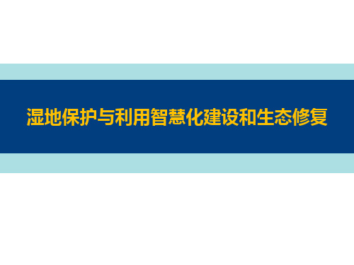 湿地保护与利用的智慧化和生态恢复