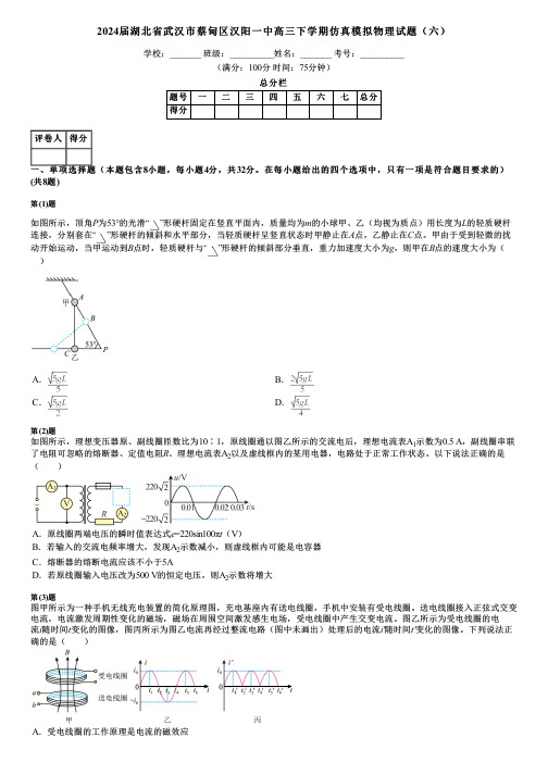 2024届湖北省武汉市蔡甸区汉阳一中高三下学期仿真模拟物理试题(六)