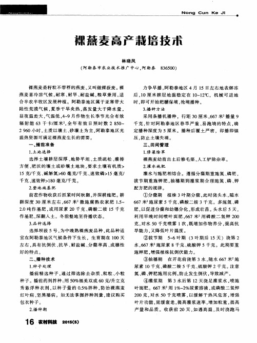 裸燕麦高产栽培技术