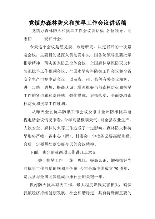 党镇办森林防火和抗旱工作会议讲话稿.doc