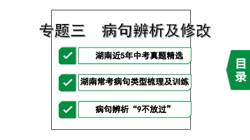 2020年湖南中考语文复习专题三 病句的辨析及修改