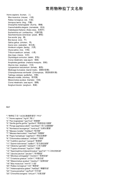 常用物种拉丁文名称