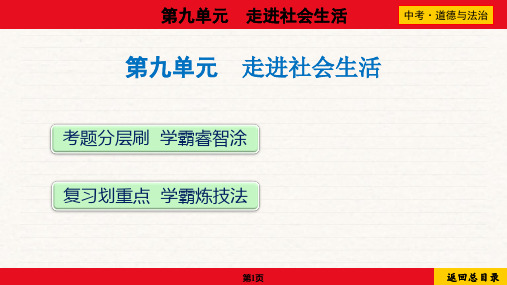 2024年中考道德与法治总复习考点梳理与培优训练第九单元走进社会生活