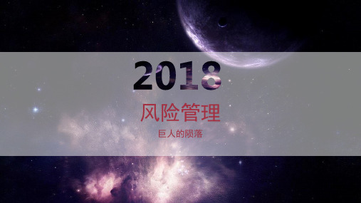 风险管理案例分析——巨人集团