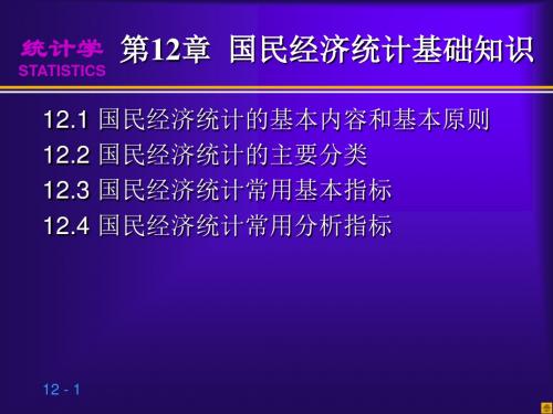 第12章 国民经济统计基础知识-60页精品文档