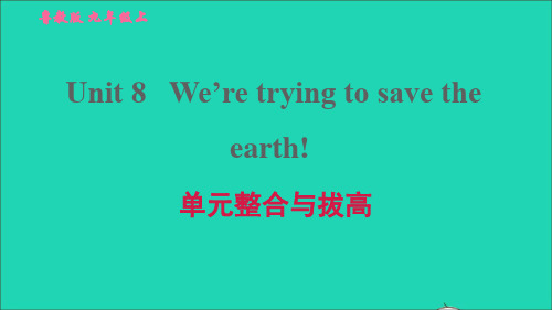 九年级英语全册Unit8单元整合与拔高习题鲁教版五四制