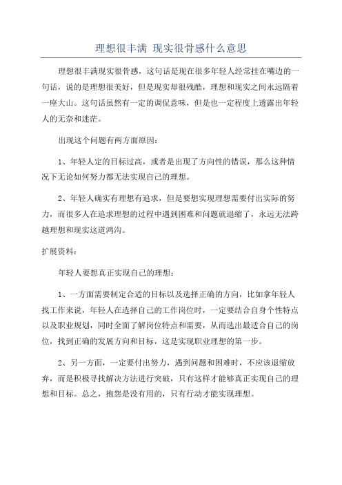 理想很丰满 现实很骨感什么意思