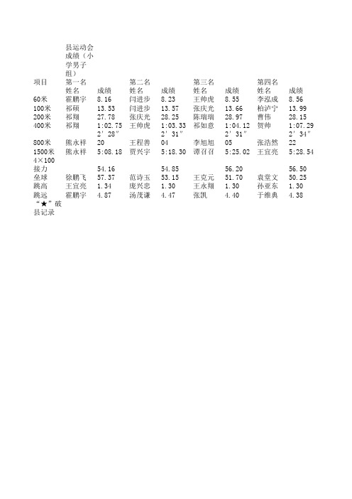 09县运动会成绩(小学男子组)