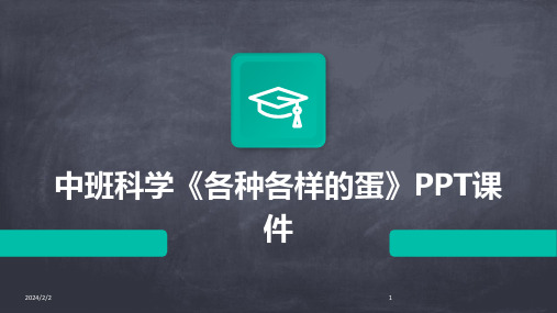 2024年度中班科学《各种各样的蛋》PPT课件