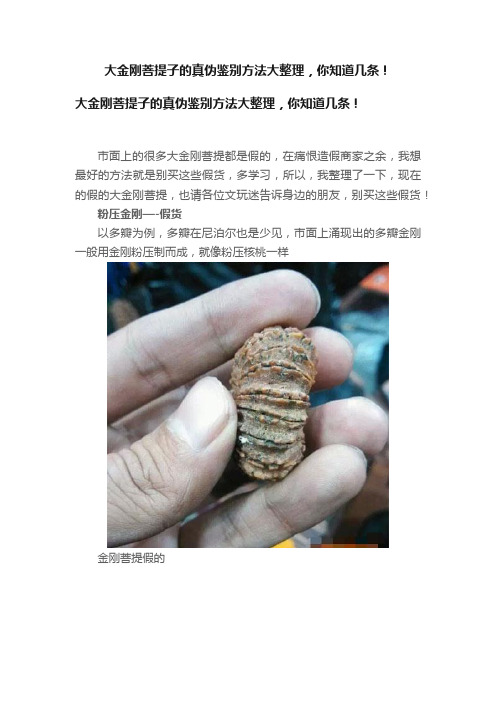 大金刚菩提子的真伪鉴别方法大整理，你知道几条！