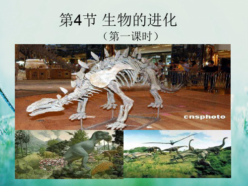 浙教版科学九下1.4《生物的进化》ppt课件