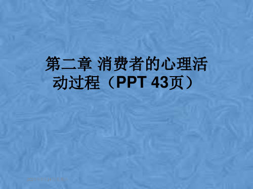 第二章 消费者的心理活动过程(PPT 43页)