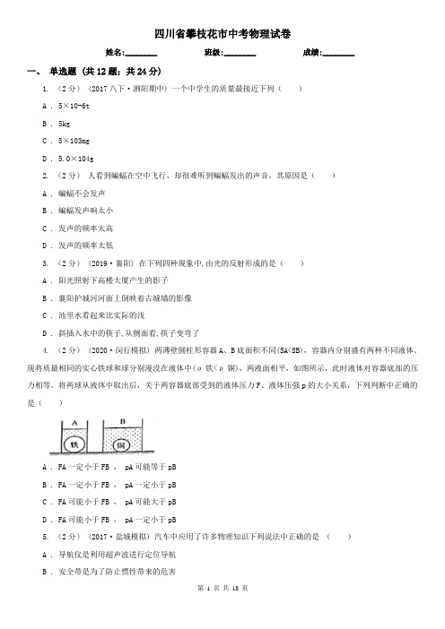 四川省攀枝花市中考物理试卷