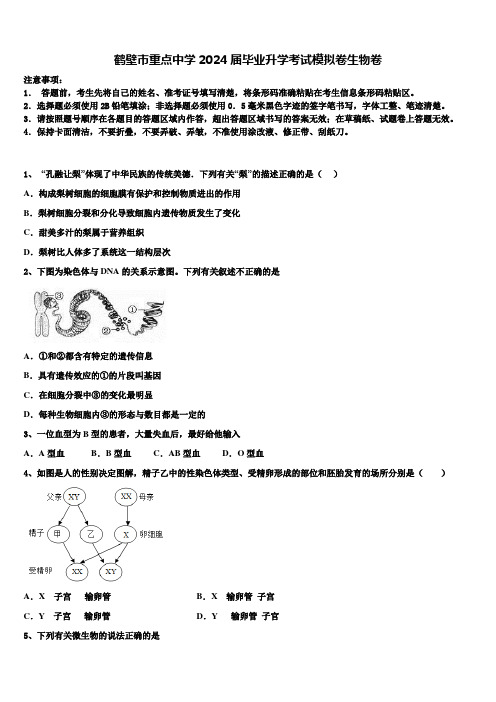 鹤壁市重点中学2024届毕业升学考试模拟卷生物卷含解析