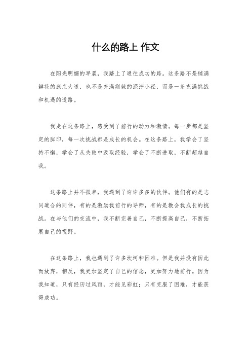 什么的路上 作文