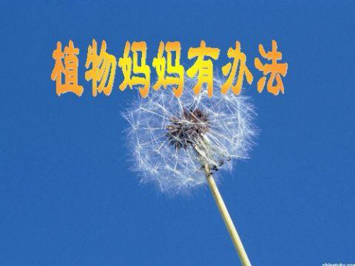 冀教版小学语文二年级上册植物妈妈有办法ppt课件