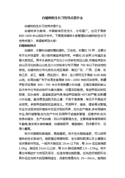 白蜡树的生长习性特点是什么