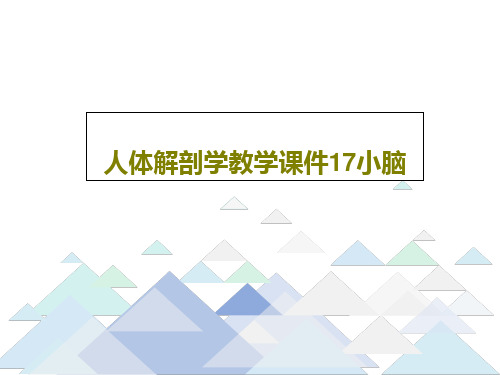 人体解剖学教学课件17小脑共16页