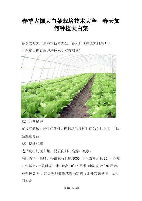 春季大棚大白菜栽培技术大全，春天如何种植大白菜