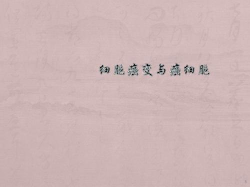 细胞癌变与癌细胞PPT课件