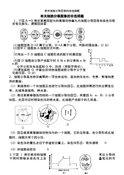 有关细胞分裂图像的非选择题