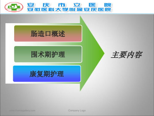 肠造口及其护理PPT课件