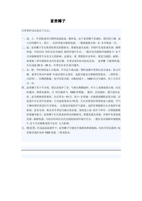 富贵椰子技术管理