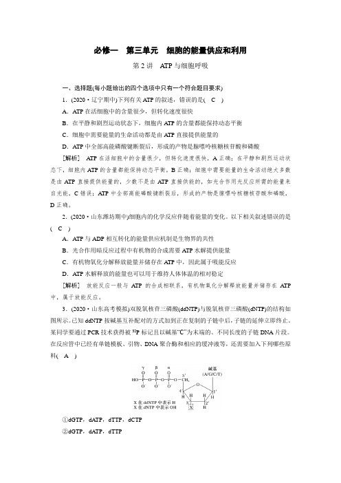 高中生物同步训练案 (9)ATP与细胞呼吸(含答案详解)