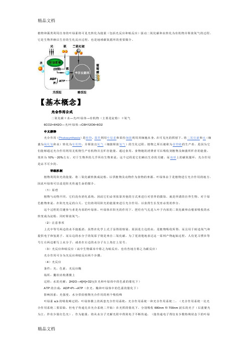 (整理)光合作用的过程.